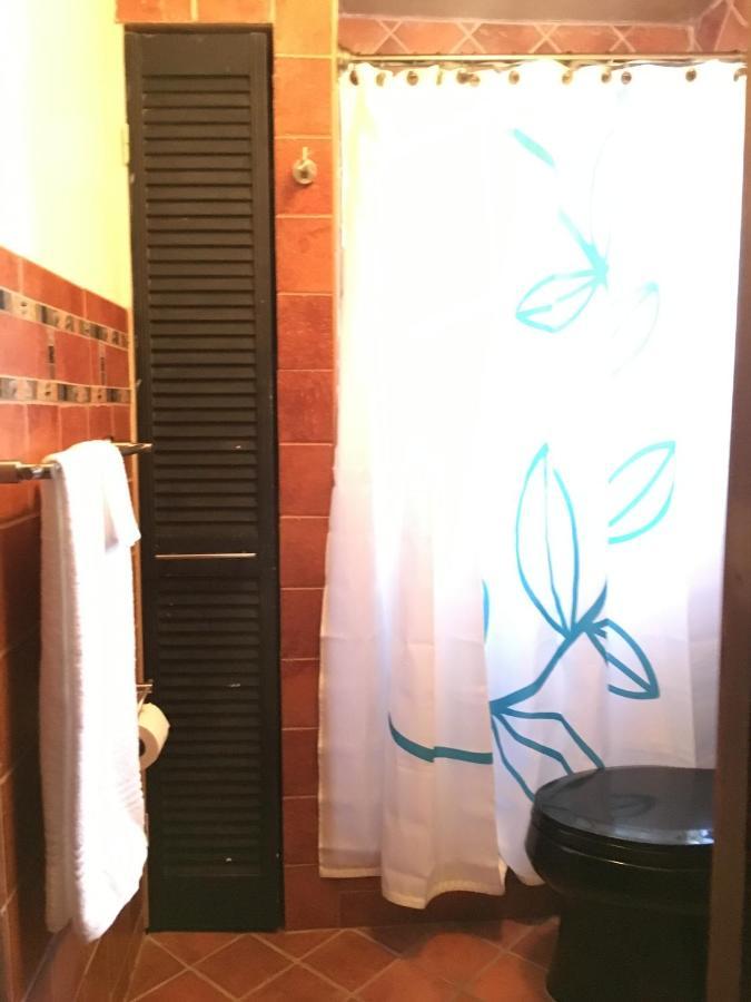 Private Room In The Heart Of Little Havana 迈阿密 外观 照片